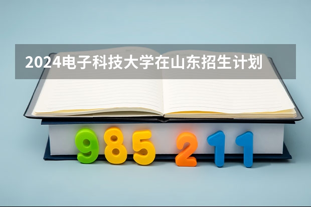 2024电子科技大学在山东招生计划（招生人数介绍）