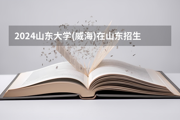 2024山东大学(威海)在山东招生计划（招生人数介绍）