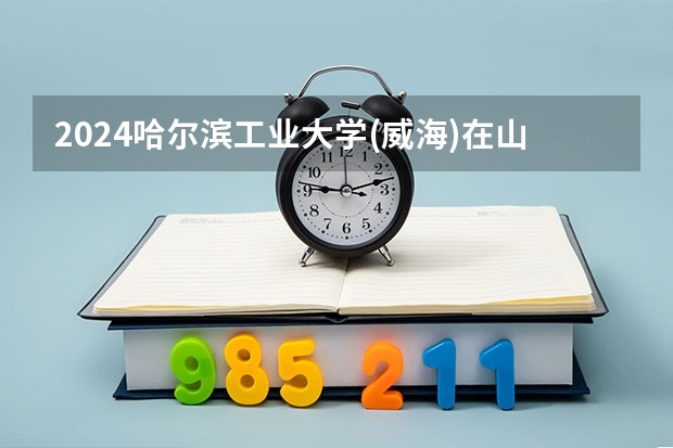 2024哈尔滨工业大学(威海)在山东招生计划（招生人数介绍）