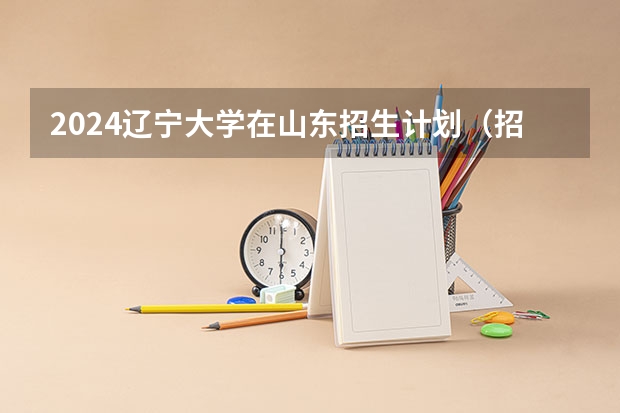2024辽宁大学在山东招生计划（招生人数介绍）