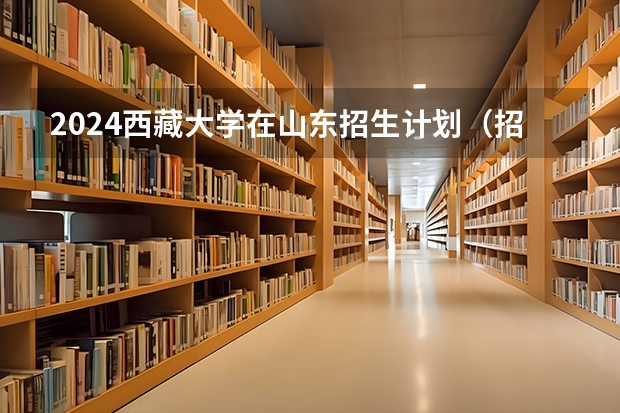 2024西藏大学在山东招生计划（招生人数介绍）