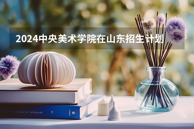 2024中央美术学院在山东招生计划（招生人数介绍）