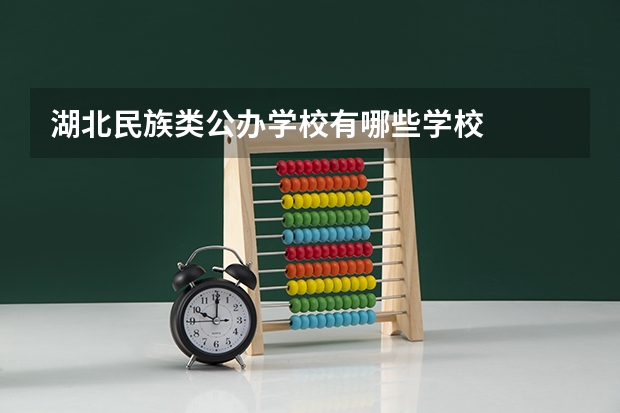 湖北民族类公办学校有哪些学校