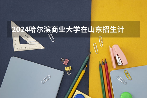 2024哈尔滨商业大学在山东招生计划（招生人数介绍）