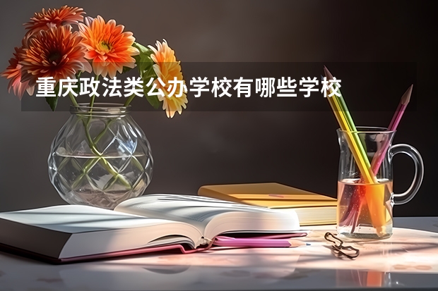 重庆政法类公办学校有哪些学校