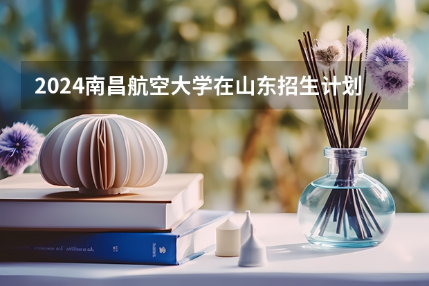 2024南昌航空大学在山东招生计划（招生人数介绍）