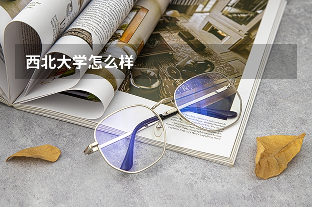 西北大学怎么样