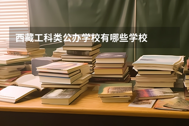 西藏工科类公办学校有哪些学校