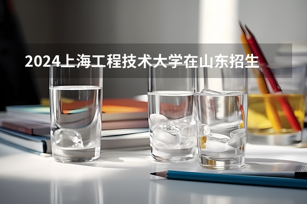 2024上海工程技术大学在山东招生计划（招生人数介绍）