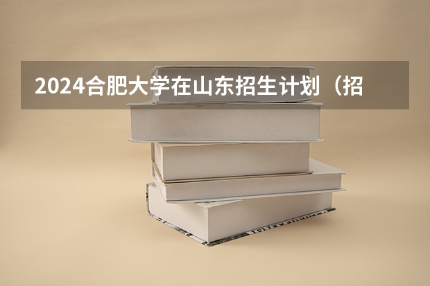2024合肥大学在山东招生计划（招生人数介绍）