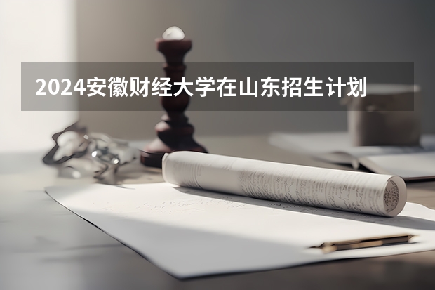 2024安徽财经大学在山东招生计划（招生人数介绍）