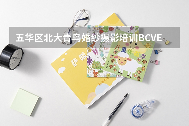 五华区北大青鸟婚纱摄影培训BCVE视频特效专业怎么样？