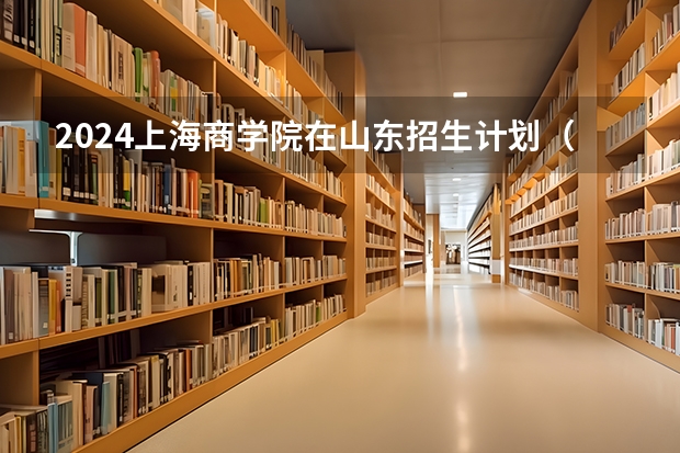 2024上海商学院在山东招生计划（招生人数介绍）