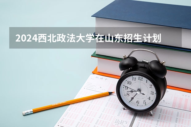 2024西北政法大学在山东招生计划（招生人数介绍）