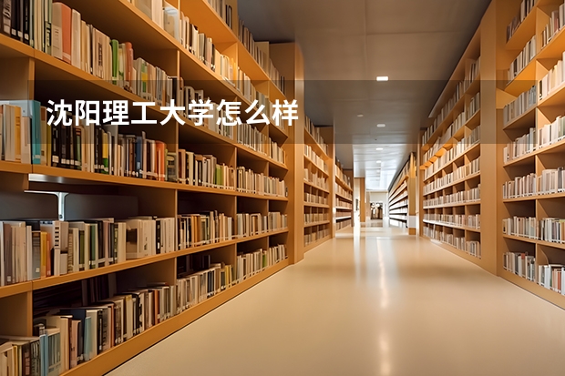 沈阳理工大学怎么样