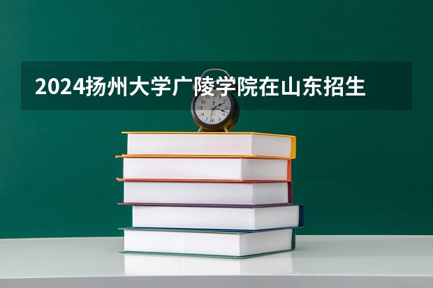 2024扬州大学广陵学院在山东招生计划（招生人数介绍）