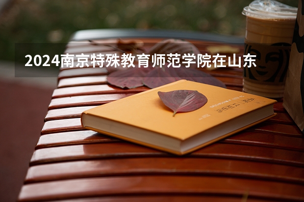 2024南京特殊教育师范学院在山东招生计划（招生人数介绍）