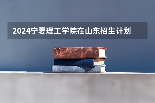 2024宁夏理工学院在山东招生计划（招生人数介绍）