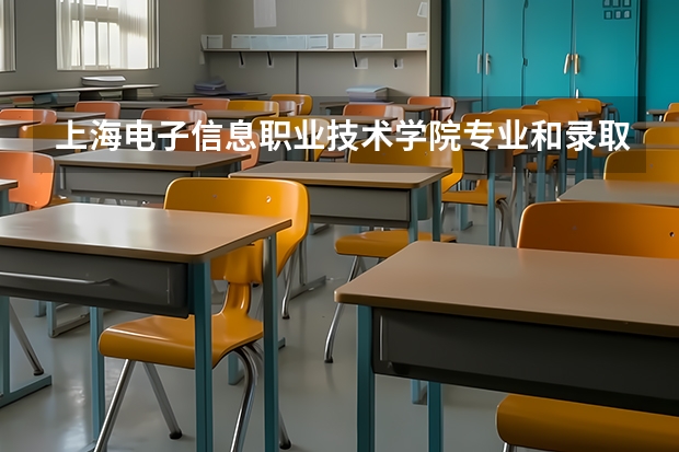上海电子信息职业技术学院专业和录取分数线是多少