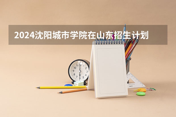 2024沈阳城市学院在山东招生计划（招生人数介绍）