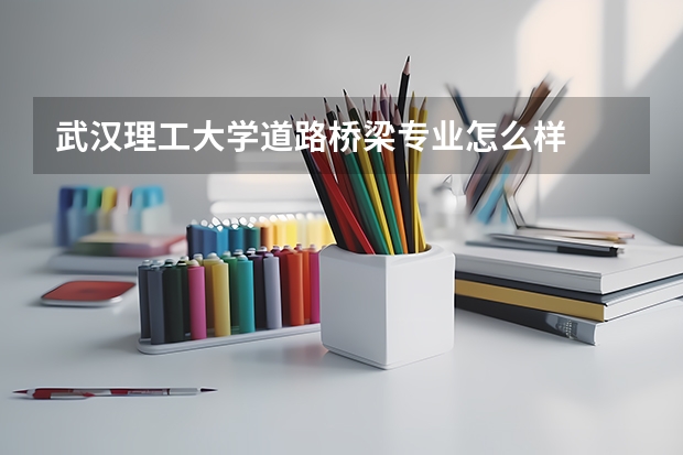 武汉理工大学道路桥梁专业怎么样