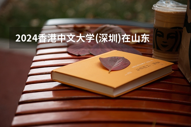 2024香港中文大学(深圳)在山东招生计划（招生人数介绍）