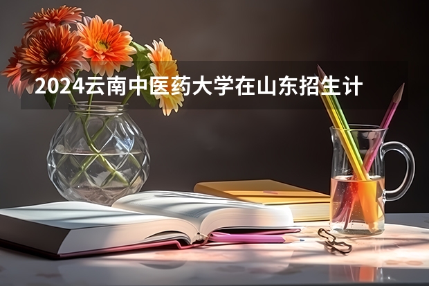 2024云南中医药大学在山东招生计划（招生人数介绍）