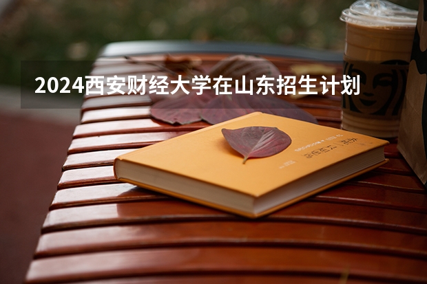 2024西安财经大学在山东招生计划（招生人数介绍）