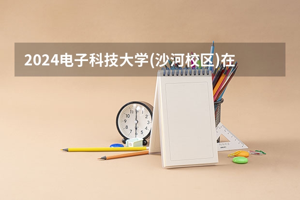 2024电子科技大学(沙河校区)在山东招生计划（招生人数介绍）