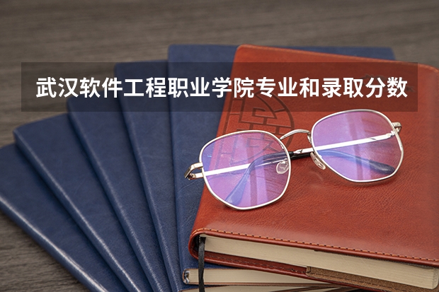 武汉软件工程职业学院专业和录取分数线是多少