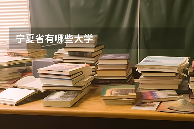 宁夏省有哪些大学