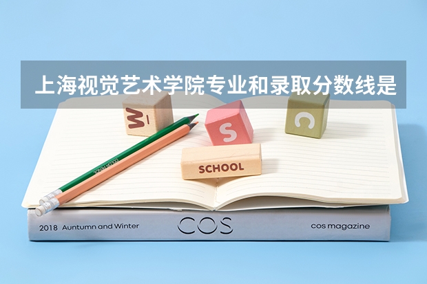 上海视觉艺术学院专业和录取分数线是多少
