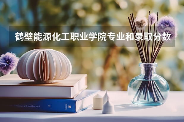 鹤壁能源化工职业学院专业和录取分数线是多少