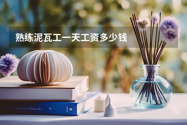 熟练泥瓦工一天工资多少钱