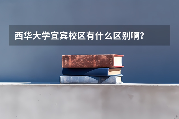 西华大学宜宾校区有什么区别啊？