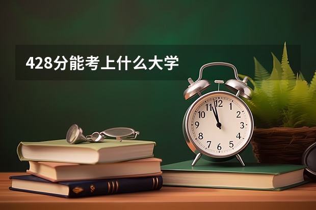 428分能考上什么大学