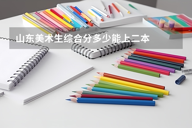 山东美术生综合分多少能上二本