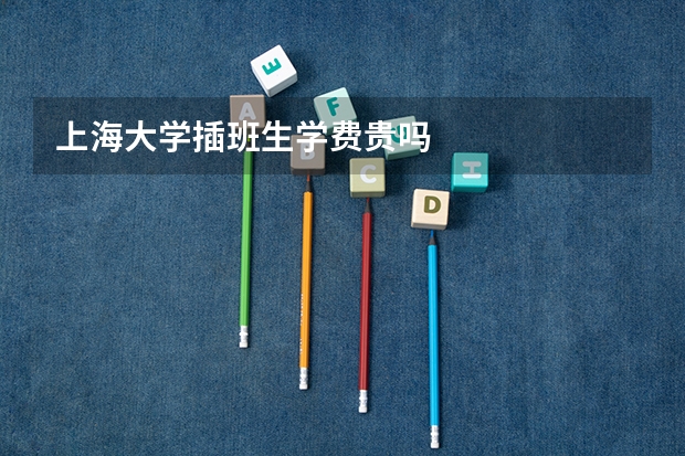 上海大学插班生学费贵吗