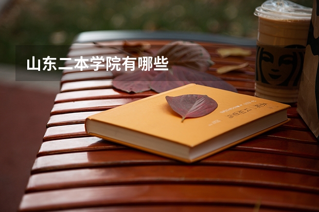 山东二本学院有哪些