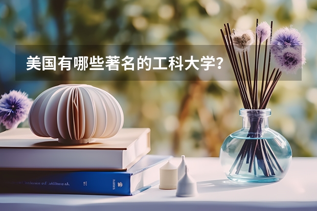 美国有哪些著名的工科大学？