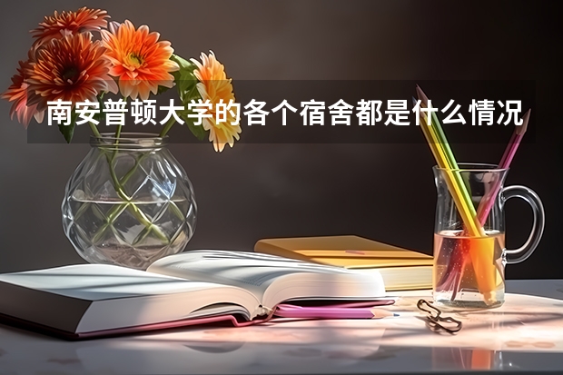 南安普顿大学的各个宿舍都是什么情况？