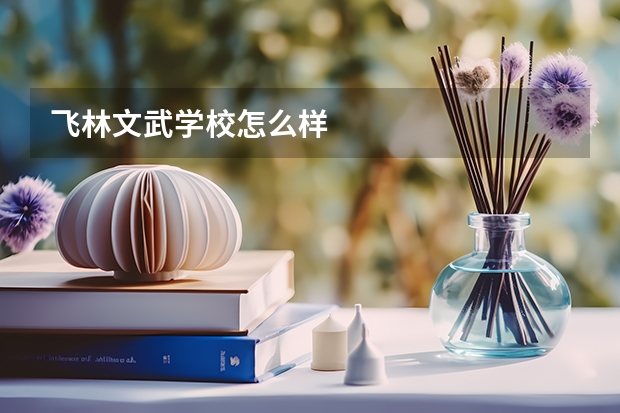 飞林文武学校怎么样