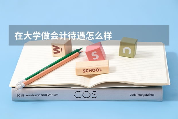在大学做会计待遇怎么样