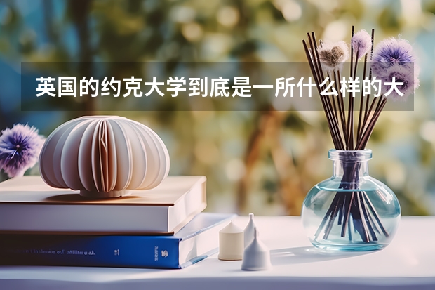 英国的约克大学到底是一所什么样的大学