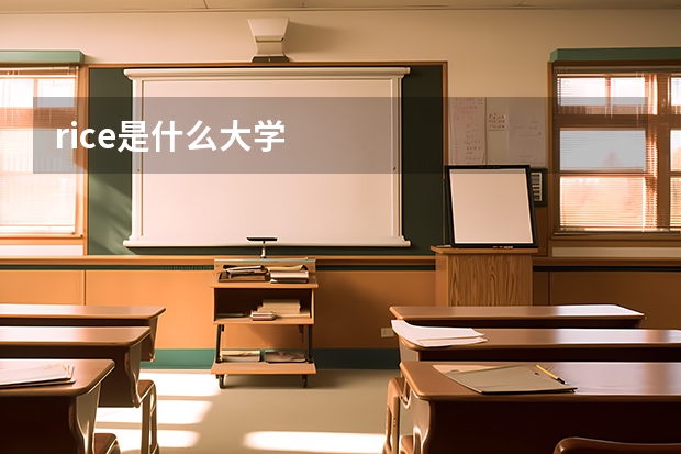 rice是什么大学