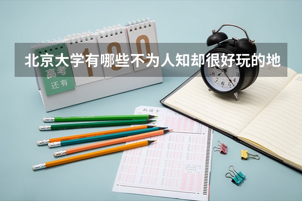 北京大学有哪些不为人知却很好玩的地方？
