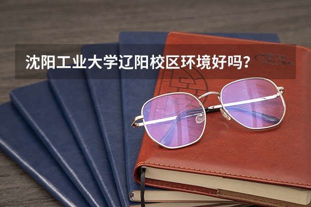 沈阳工业大学辽阳校区环境好吗？