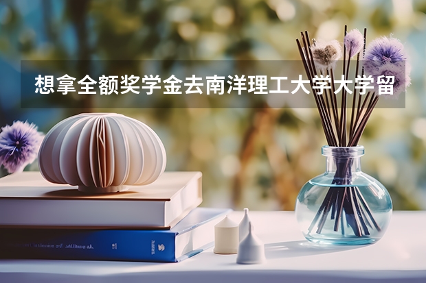 想拿全额奖学金去南洋理工大学大学留学吗