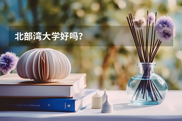 北部湾大学好吗？