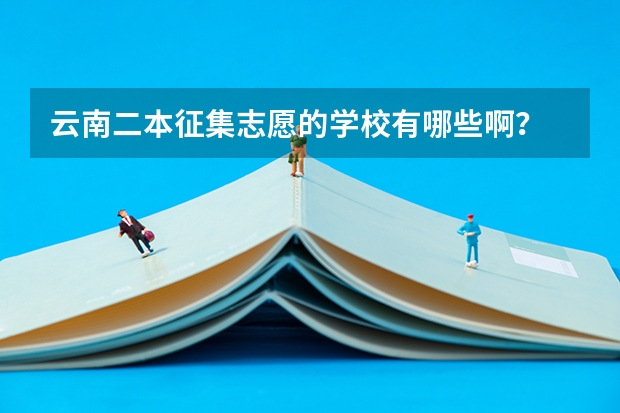 云南二本征集志愿的学校有哪些啊？